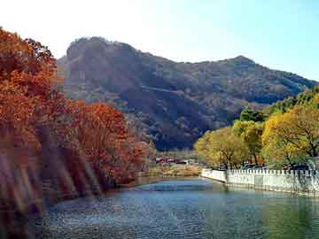 新澳天天开奖资料大全旅游团，恐怖图片